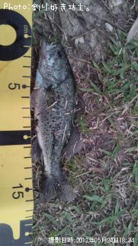 ¥Ö¥é¥Ã¥¯¥Ð¥¹