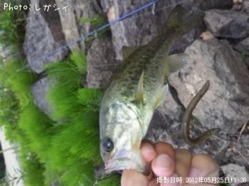 �֥�å��Х�