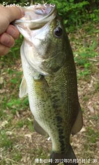 ¥Ö¥é¥Ã¥¯¥Ð¥¹