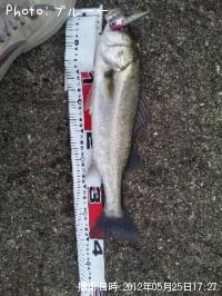 �����Х�