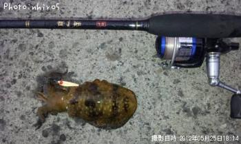 ¥¢¥ª¥ê¥¤¥«