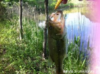 �֥�å��Х�