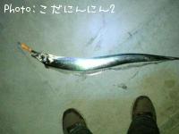 ÂÀÅáµû