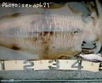 �����ꥤ��