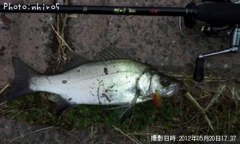 �ҥ饹����