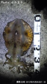 �����ꥤ��