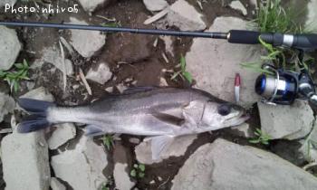 �����Х�