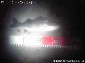 �����Х�