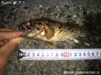 �����Υ���Х�