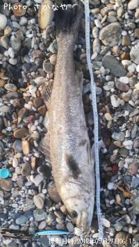 �����Х�