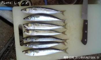 ��Х������