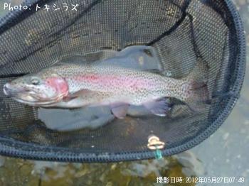 ¥ì¥¤¥ó¥Ü¡¼