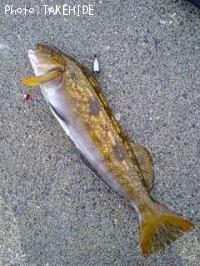 �����ʥ�