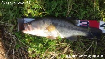 ¥Ö¥é¥Ã¥¯¥Ð¥¹