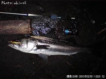 �����Х�