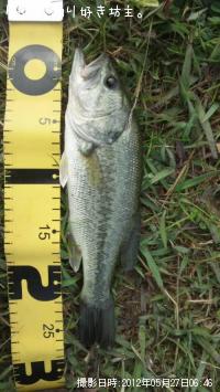 �֥�å��Х�