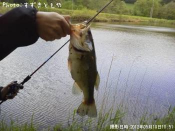 �֥�å��Х�