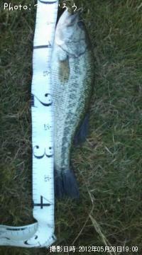 ¥Ö¥é¥Ã¥¯¥Ð¥¹