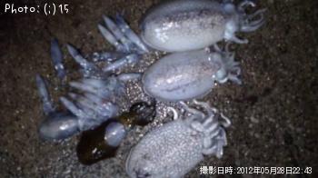 �ҥ���������䥱���ҥ����ꥤ��