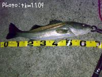 �����Х�