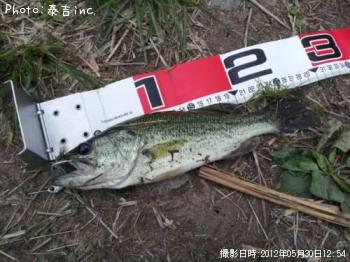 ¥Ö¥é¥Ã¥¯¥Ð¥¹