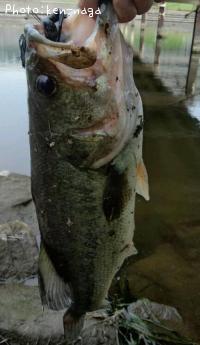 �֥�å��Х�