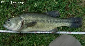 �֥�å��Х�