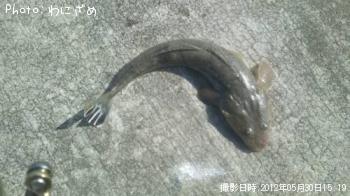 �ޥ���