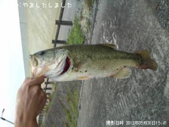 �֥�å��Х�