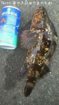 �٥å�������