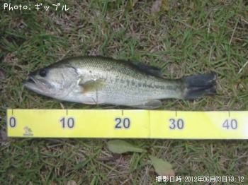 �֥�å��Х�