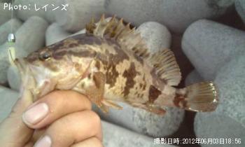 �����Υ�����Х�