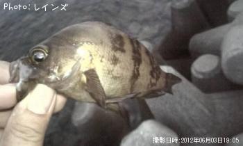 �����Υ�����Х�