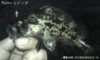 �����Υ�����Х�