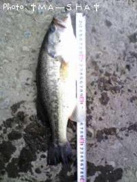 �֥�å��Х�