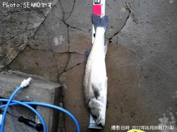 �����Х�