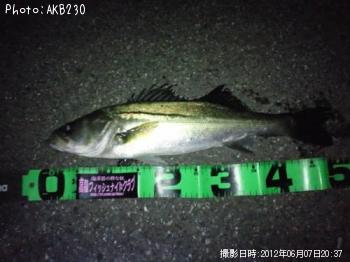 �����Х�