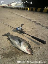 �����Х�