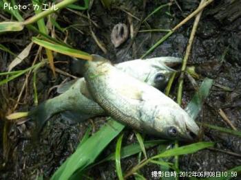 �֥�å��Х�