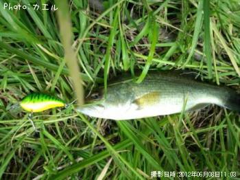 �֥�å��Х�