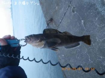 �����ʥ�