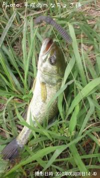 ¥Ö¥é¥Ã¥¯¥Ð¥¹