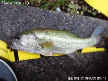 �֥�å��Х�