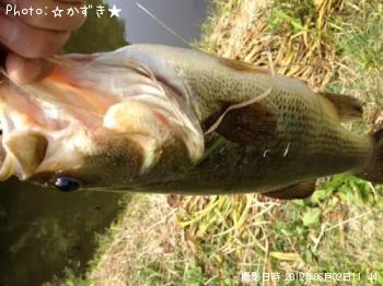 ¥Ö¥é¥Ã¥¯¥Ð¥¹