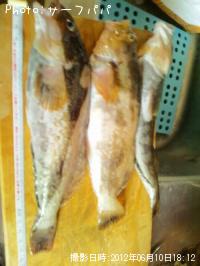 �����ʥ�