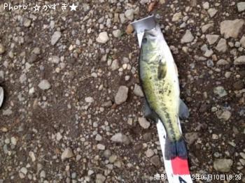 �֥�å��Х�