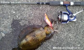 ¥¢¥ª¥ê¥¤¥«