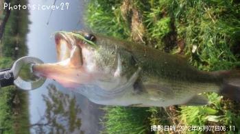 �֥�å��Х�