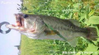 ¥Ö¥é¥Ã¥¯¥Ð¥¹