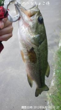 �֥�å��Х�